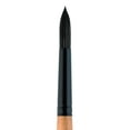 thumbnail image 1 of CEPILLO DIXON TIC/PRINCETON DIXON TIC/PRINCETON BRUSH  PB6450R0, 1 of 1