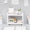 thumbnail image 4 of Storage Shelf Double Tiers Multi-Function Plastic Cosmetic Sundries Organizer for Home, 4 of 9