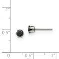 thumbnail image 3 of Stainless Steel Polished 4mm Black Round CZ Stud Post Earrings; for Adults and Teens; for Women and Men, 3 of 3
