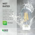 thumbnail image 4 of Sunco Lighting 4 Pack ST64 LED Bulb, Dusk-to-Dawn, 7W=60W, 2700K Soft White, Vintage Edison Filament Bulb, 800 LM, E26 base, Outdoor Decorative String Light - UL, Energy Star, 4 of 7