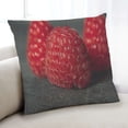 thumbnail image 1 of Ahgly Company Coussin d'Intérieur Framboise, 18 Pouces par 18 Pouces, 1 of 6