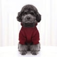 thumbnail image 1 of PEACNNG Winter Essentials  Cozy Knit Pullover Sweater for Small Dogs  Stylish & Easy-Care, 1 of 7