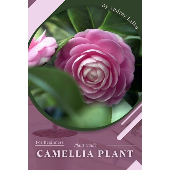 Camellia Plant: Prodigy Petal, Plant Guide