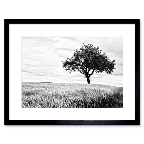 Lone Tree Wheat Field Black White Framed Wall Art Print