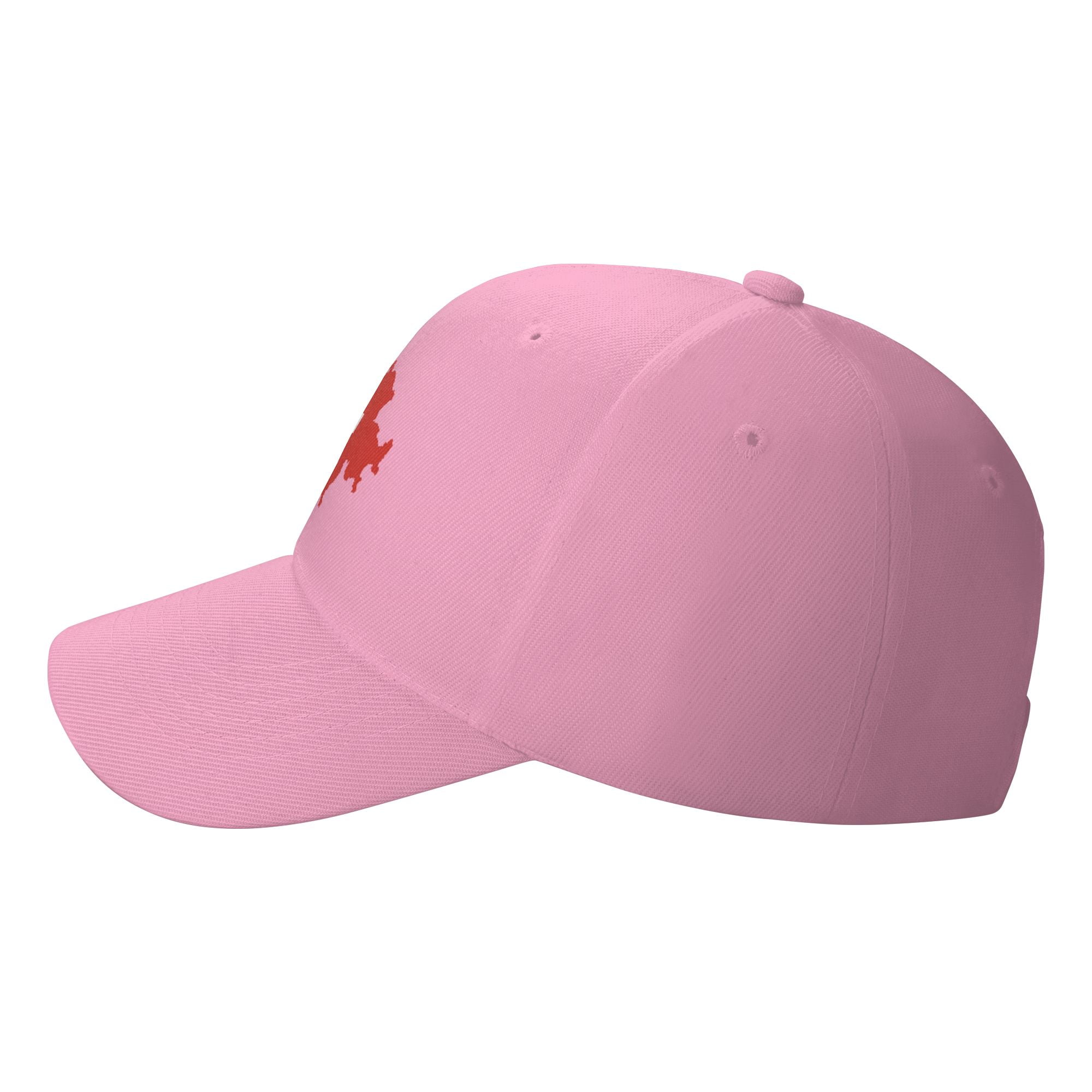 TEQUAN Peaked Cap Switzerland Flag Adult Unisex Adjustable Curved Brim Baseball  Cap Hat, Pink
