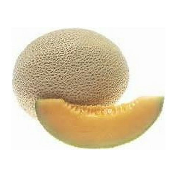Melon Edisto 47 Great Heirloom Vegetable By Seed Kingdom BULK 2,500 Seeds
