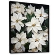thumbnail image 2 of Designart "Serenade Of Wild White Poinsettia" Poinsettias Floater Framed Wall Art Prints, 2 of 5