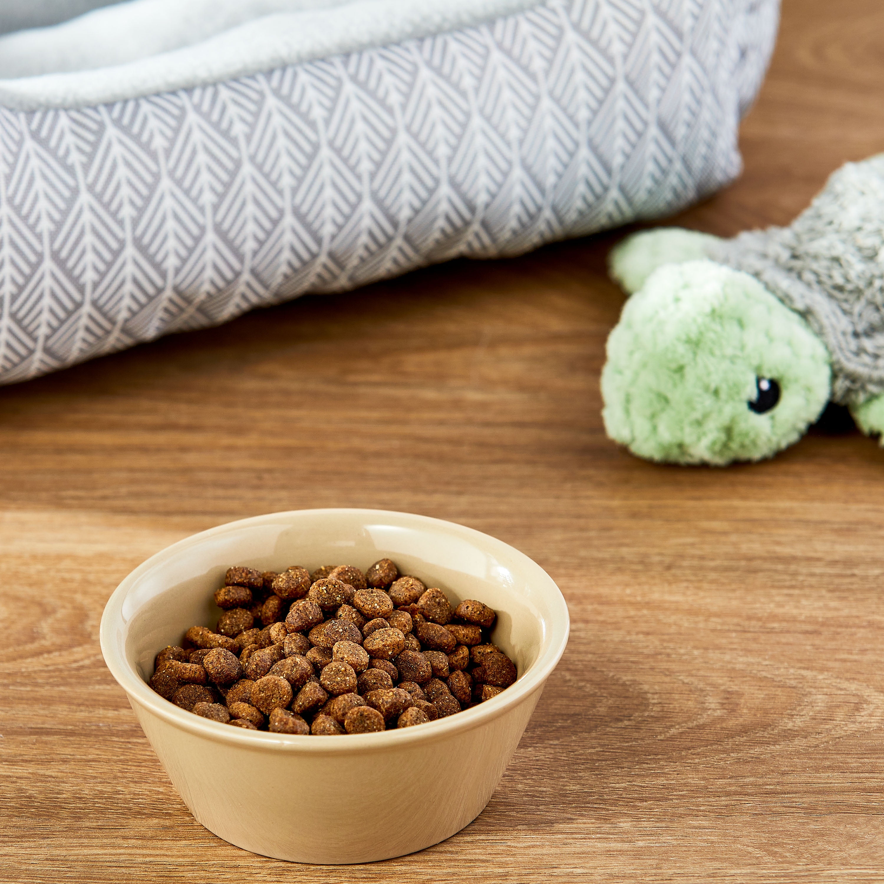 Vibrant Life Basic Ceramic Dog Bowl, x-Small