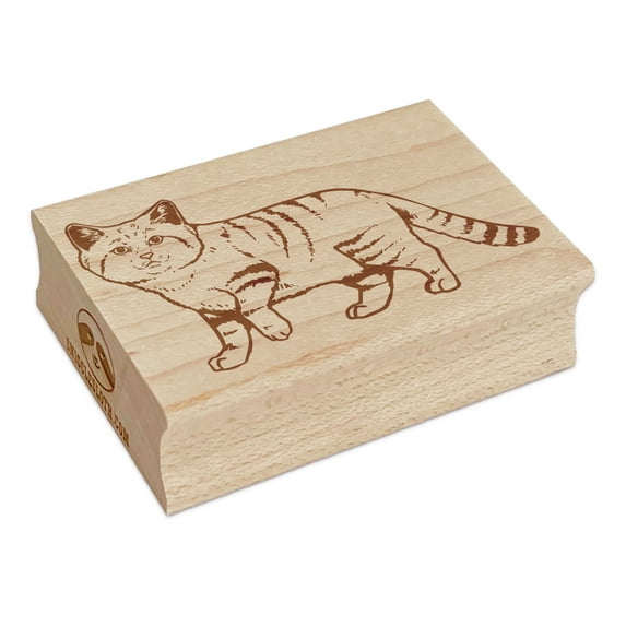 Adorable Desert Sand Cat Rectangle Rubber Stamp Stamping Scrapbooking Crafting - Large 2.5in
