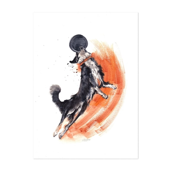 Catch the Freesbie - Painting Dog Watercolor Animal Illustration Wildlife Sports Unframed Wall Art Print 4 x 6 inches