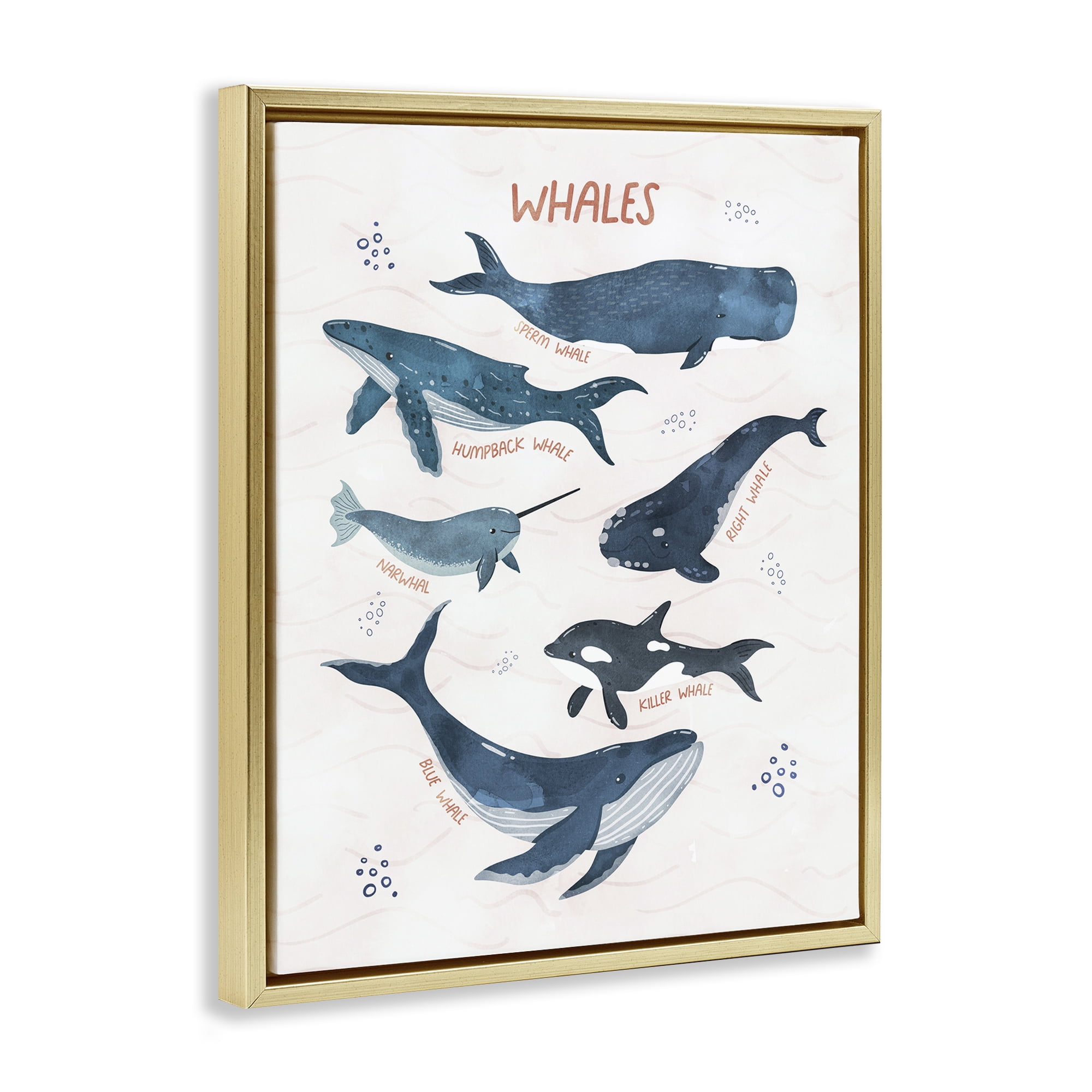 Stupell Industries Whales of the World Animals & Insects Painting Gold Floater Framed Art Print Wall Art, 17 x 21