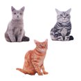 thumbnail image 5 of EeaseCA 1PC Simulated Cat 3D Stereo Throw Pillow Plush Toy Cushion Stuffed Toy (Tiger Grain), 5 of 5