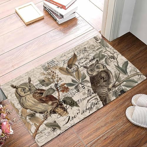 Doormat Indoor Entrance Home Decor Door Mat Country Owl Floor Rugs for Kitchen Bathroom Rustic Sping Floral Botanical Postmark Funny Welcome Mat 17x30 Inch.