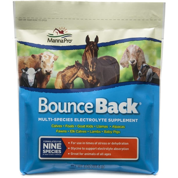 Sustituto de Electrolitos para Multiples Especies Manna Pro SPCMEM2230038 Bounce Back Golosinas Deshidratación 113 g Manna Pro SPCMEM2230038
