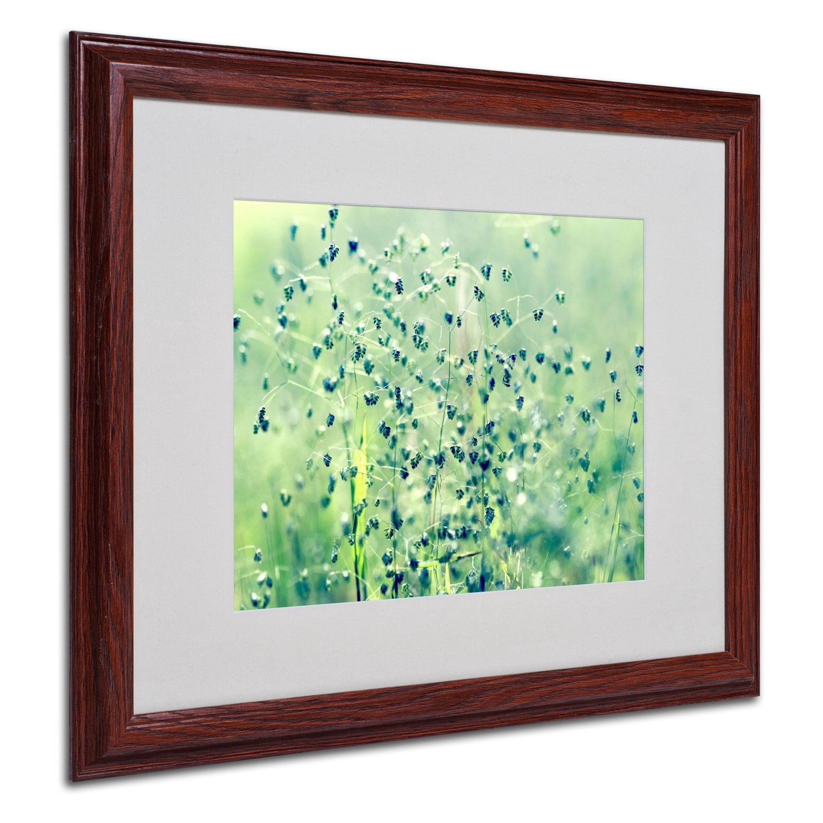 Trademark Fine Art "Spring Notes" Framed Canvas Art by Beata Czyzowska Young
