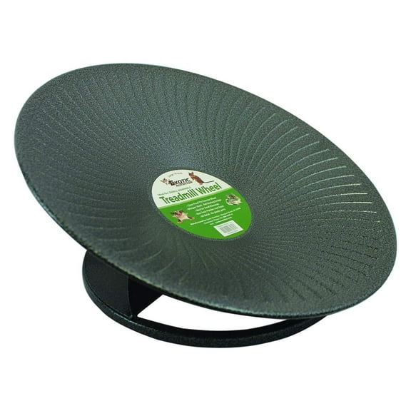 Treadmill Wheel 11" Black - All-Metal Exercise Wheel - Chinchillas, Prairie Dogs, Rats, Hedgehogs, Sugar Gliders, Squirrels, Degus, Hamsters & Other Small Animals - Smooth, Fast, Silent, Durable