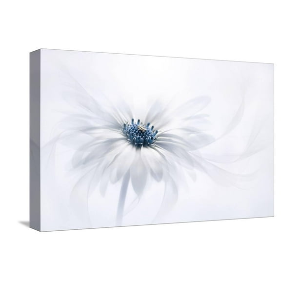 Art.com Serenity Stretched Canvas Print Wall Art by Jacky Parker, 18" x 12"