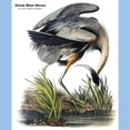 thumbnail image 3 of CafePress - Audubon Great Blue Heron (Front) Light T Shirt - Men's Classic Graphic T-Shirt, 3 of 4