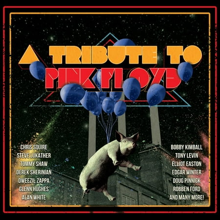 A Tribute To Pink Floyd / Various (CD) (Includes DVD)