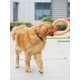 thumbnail image 3 of Discos voladores para mascotas, anillo de entrenamiento para perros, extractor resistente a mordeduras, juguete flotante para cachorros, juegos interactivos al aire libre, suministro de productos para jugar (naranja) oso de fresa Electrónica, 3 of 4