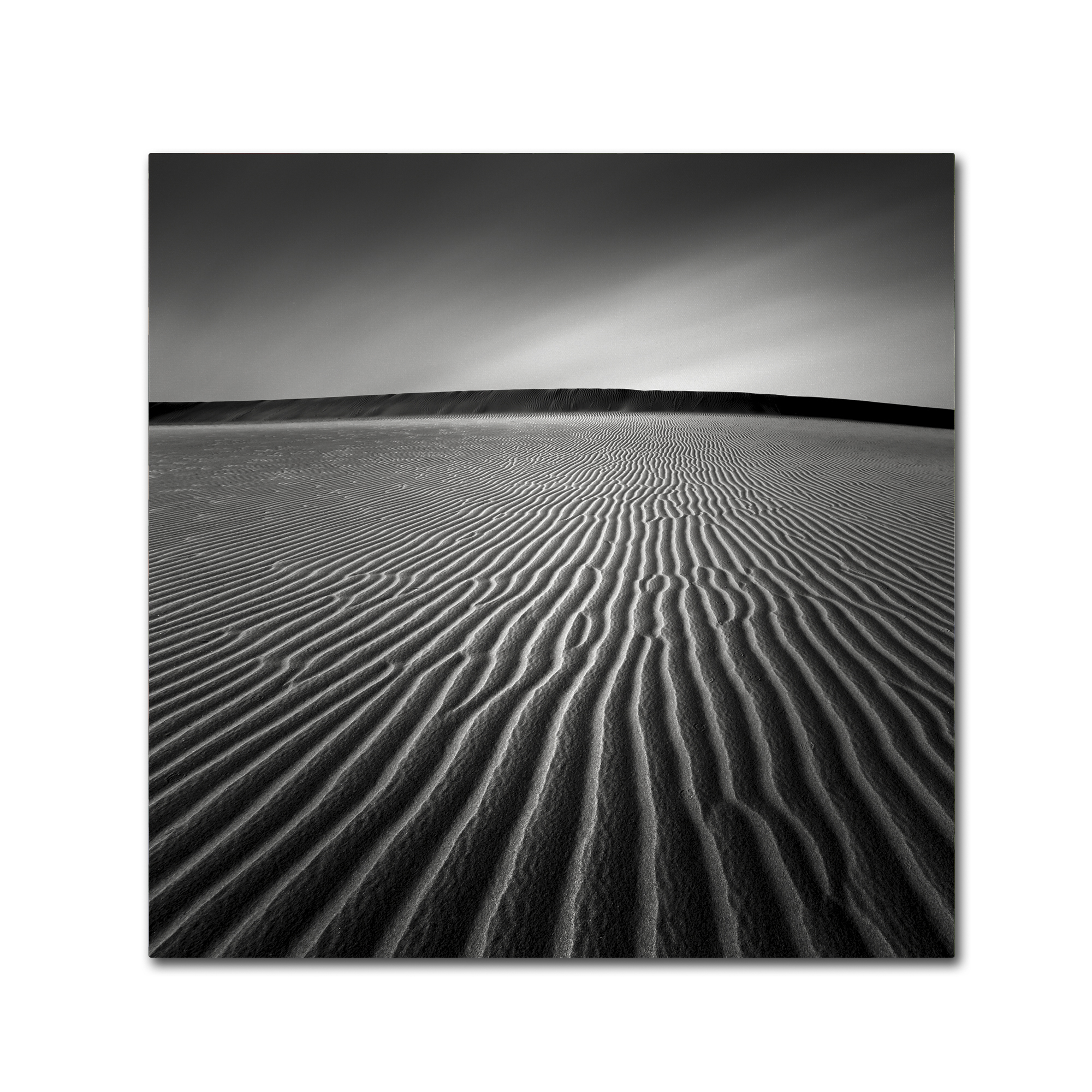 Dave MacVicar 'Ripples' Canvas Wall Art 14 x 14