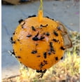 thumbnail image 6 of Fly Gnat Fruit Fly Wasp Sticky Trap Ball - 4 pks, 6 of 6