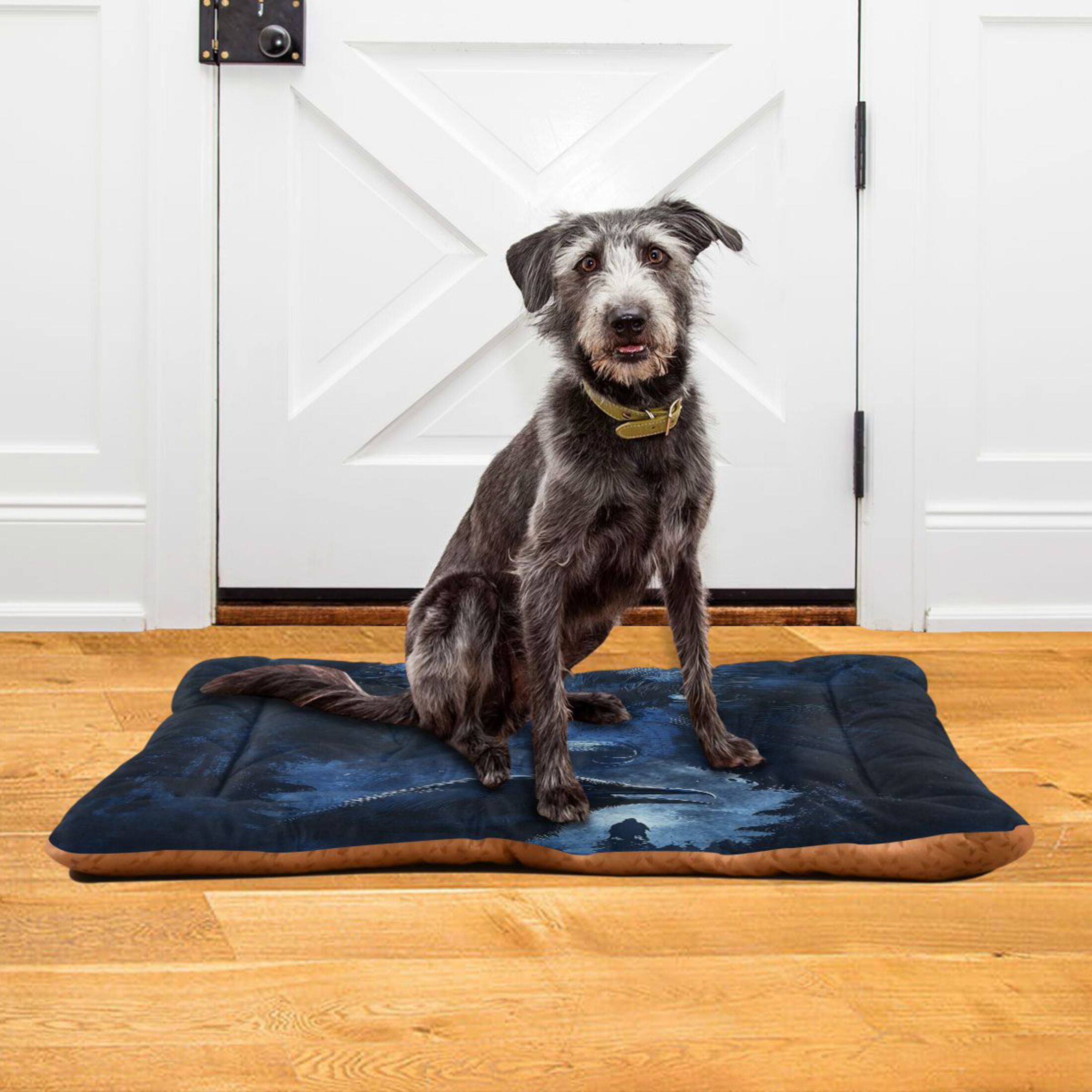 Qxltty Raven Wolf in The Moonlight Ped Pad Wear-resistant and Hard to Bite Through Sleeping Pad for Small Medium Large Dogs Winter Pet Bed 36×24in