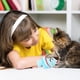 thumbnail image 4 of 3 piezas de lindos juguetes de pez pequeño, gatito, juguete interactivo, juguete de hierba gatera para gatos, juguete de hierba gatera para interiores, 4 of 5