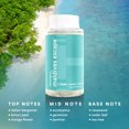 thumbnail image 2 of Homedics® SereneScent™ Maldives Escape 120ml All Natural Essential Oil, 2 of 8