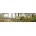 thumbnail image 2 of Frank, Assaf 18x8 Gold Ornate Wood Framed with Double Matting Museum Art Print Titled - Canal through forest in countryside, 2 of 4