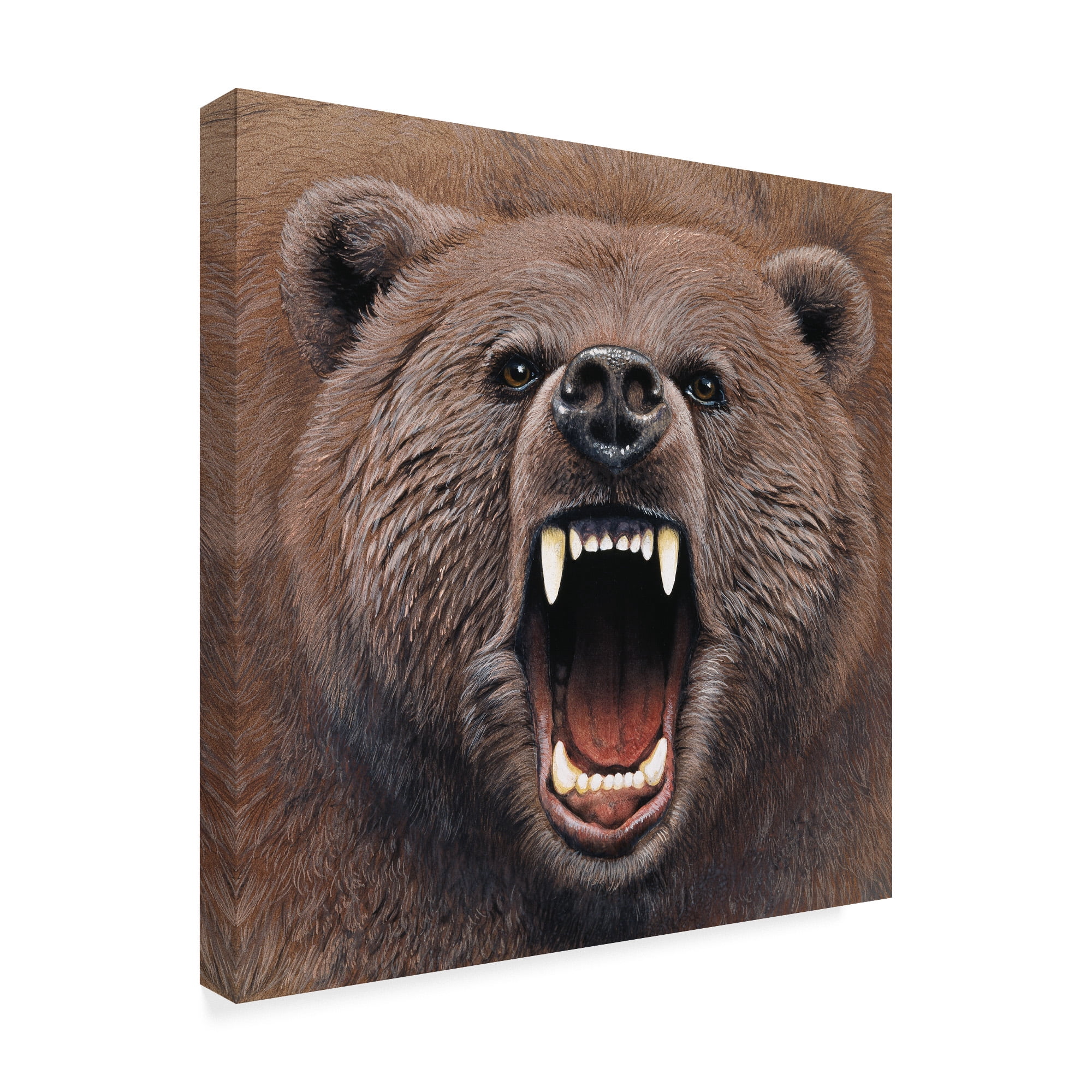 Trademark Fine Art 'Bear Portrait' Canvas Art by Harro Maass