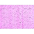 thumbnail image 1 of Ahgly Company Indoor Rectangle Solid Purple Modern Area Rugs, 5' x 7', 1 of 4