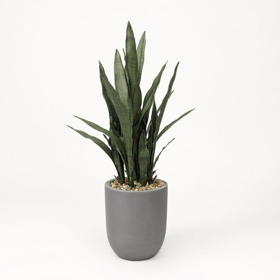 D & W Silks Sansevieria Plant in Round Grey Planter