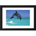 thumbnail image 2 of Bottlenosed Dolphin Framed Print Wall Art, 2 of 5