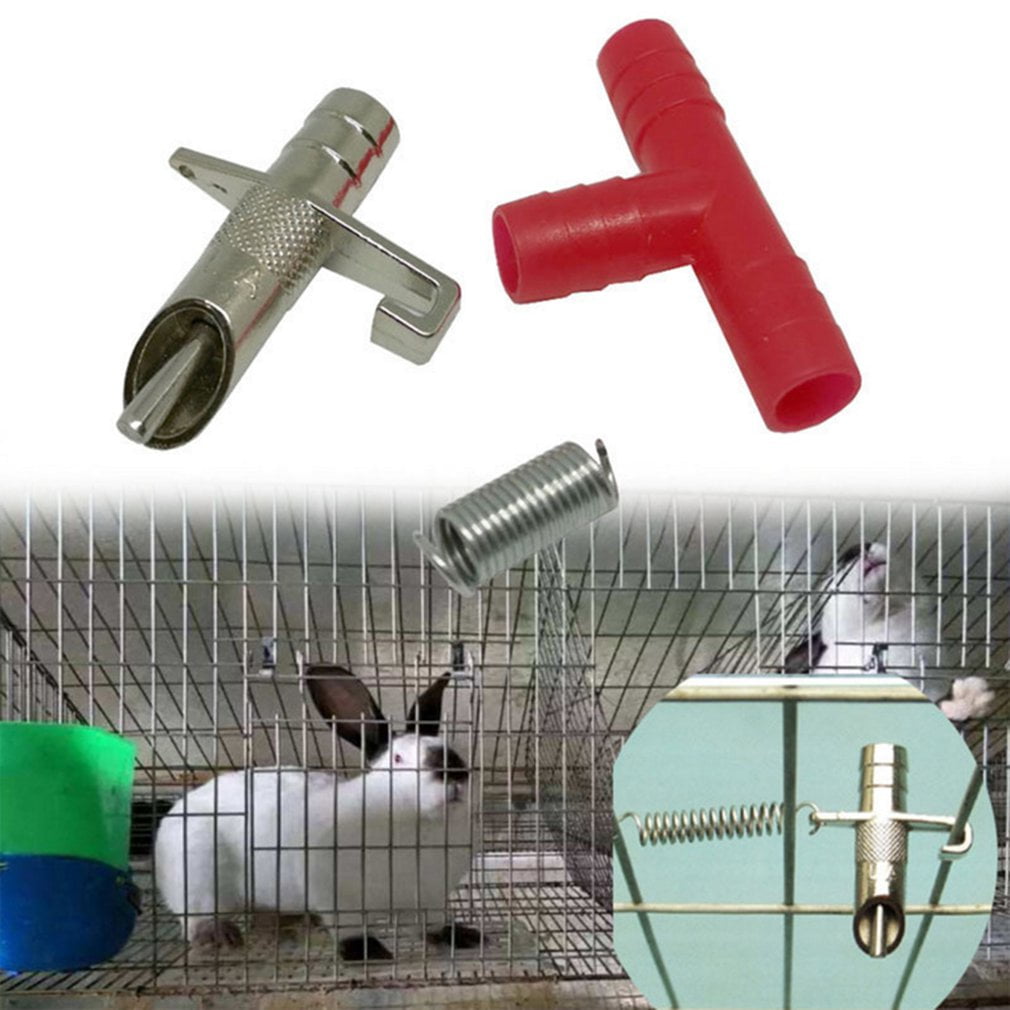 rabbit feeder water