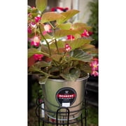 Behrens High Grade Steel 1205 5 Quart Hot Dipped Galvanized Steel Pail