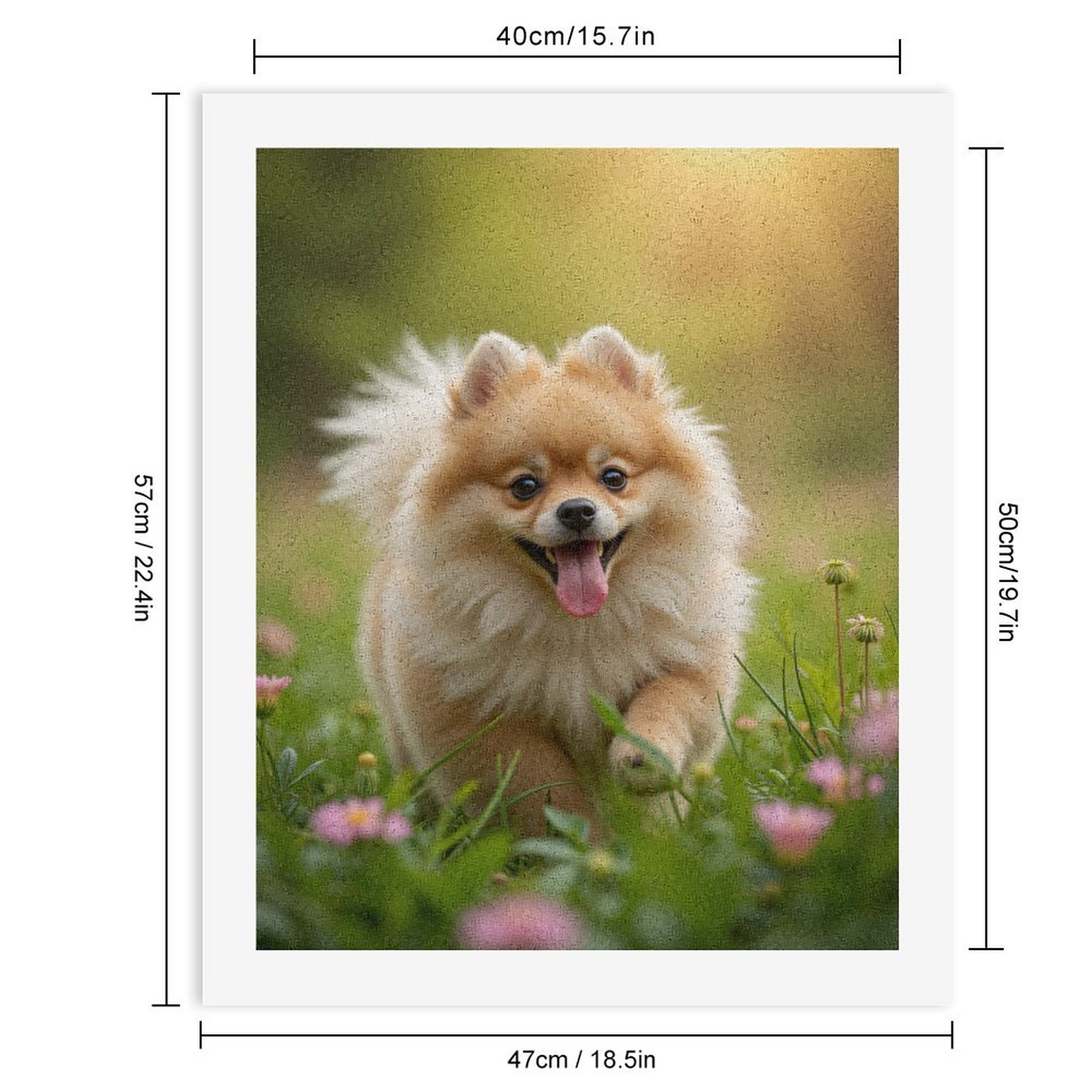 Paint by Numbers Kit for Adults, Pomeranian Puppy Meadow Sunshine Paint by Numbers, Easy Paint by Numbers Kit for Adults Beginner, DIY Adult Paint by Number Kits on Canvas, Home Decor