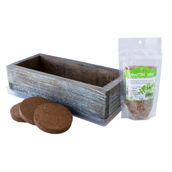 Reclaimed Barnwood Style Planter Wheatgrass Kit - Aged Brown - Grow Wheat Grass - for Pet / Dog / Cat Grass - Decorative & Ornamental - Juice - Organic Seeds