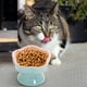 thumbnail image 4 of Bowl de Cerámica para Gatos de Color Azul Hielo con Rosa de Loto Lento, Bowl Elevado para Gatos y Pequeños Perros, Fácil de Limpiar, Reduce la Deglución y la Comida en Exceso, Anti-ahogo, Comida Lenta, 4 of 5