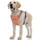 thumbnail image 1 of Arnés antitirones para perros, transpirable y fácil de poner, chaleco reflectante ajustable, malla suave y cómoda., 1 of 5