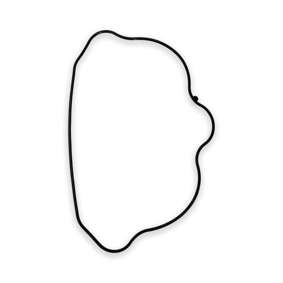 Polaris Sportsman 700 800, Ranger 700 800, RZR 800 Head Cover Seal - 5412836