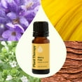 thumbnail image 3 of Plant Therapy Worry Free Essential Oil Blend 10 mL (1/3 oz) Stress & Calming Relief Blend 100% Pure, Undiluted, Natural Aromatherapy, Therapeutic Grade, 3 of 8
