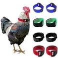 thumbnail image 1 of (2 Pcs Bleu) Collier de Poulet Texture Douce Anti-Coq Réglable Anti-Accroc Collier de Coq Fournitures pour Volaille Haute Qualité, 1 of 5