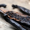 thumbnail image 4 of Tuscany Candle Vanilla Bean Scented Jar Candle Soy Blend 14 Ounce Triple Wick, 4 of 4