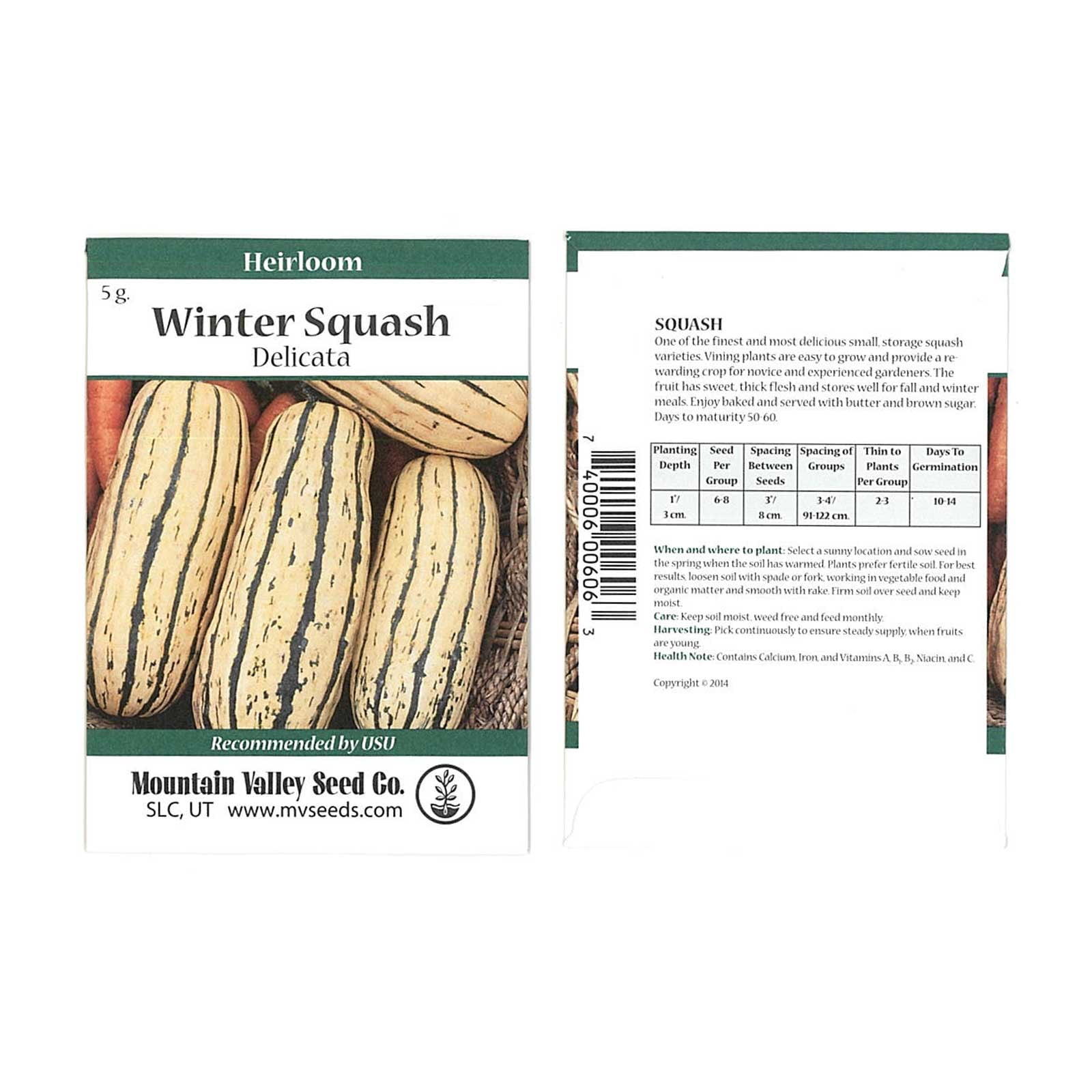 Delicata Winter Squash Garden Seeds 2 g Packet NonGMO, Heirloom