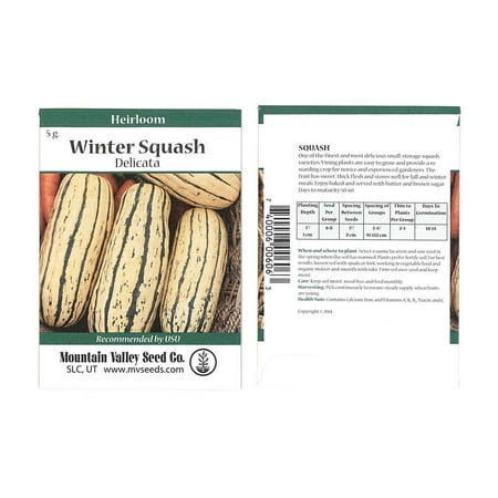Delicata Winter Squash Garden Seeds - 2 g Packet - Non-GMO, Heirloom - Vegetable Gardening (Best Winter Vegetables To Plant)