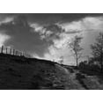 thumbnail image 2 of Henson, Martin 24x19 Gold Ornate Wood Framed with Double Matting Museum Art Print Titled - Lonely Path II, 2 of 4
