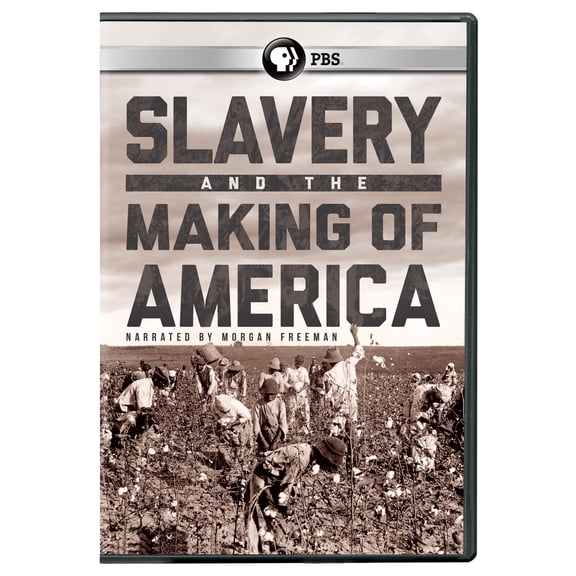 Slavery And The Making Of America