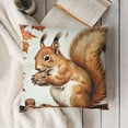 thumbnail image 3 of SHANXI  Animals Throw Pillow Covers Fox Deer Squirrel Owl Leaves Decorative Pillows Soft Velvet Cushion Cases for Couch Sofa Home Decor 18x18in, 3 of 5