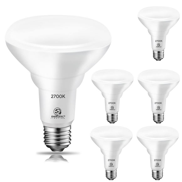 Energetic 6 Pack 75W BR30 LED Recessed Light Bulb, Dimmable, 900 Lumens, 2700K Soft White, E26 Base, Indoor Flood Light for 5/6 Inch Cans, UL Listed